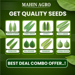 8 Varieties Of Mixed Bottle Gourd Seeds