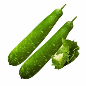 Bottle Gourd (Lagenaria siceraria) premium Long Green Lauki seeds from Mahin Agro, high yield bottle gourd for home garden