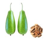 bottle gourd green queen seeds for planting, lagenaria siceraria vegetable seeds