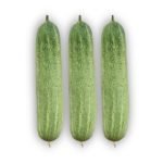 Fresh Cucumber Profit-2 cucumbers with smooth light green skin, ideal for slicing, salads, and home gardening.
