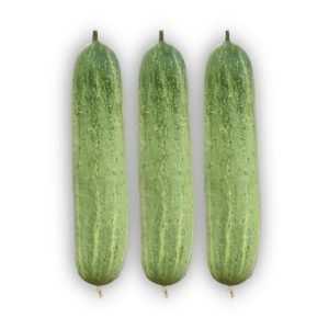 Fresh Cucumber Profit-2 cucumbers with smooth light green skin, ideal for slicing, salads, and home gardening.