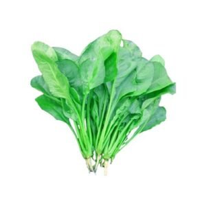 Spinach Seeds || Kopi Palong Seeds For Planting