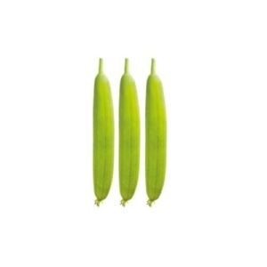 Sponge Gourd Seeds – Wonder For Planting