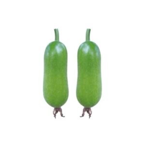 Wax Gourd - Maya Seeds For Planting 1 Gram Seeds