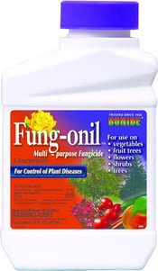 Bonide Fungnoil Conc PT