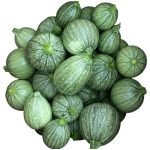 Round Zucchini seeds packet – Mahin Agro Cucurbita pepo bush variety for home gardens