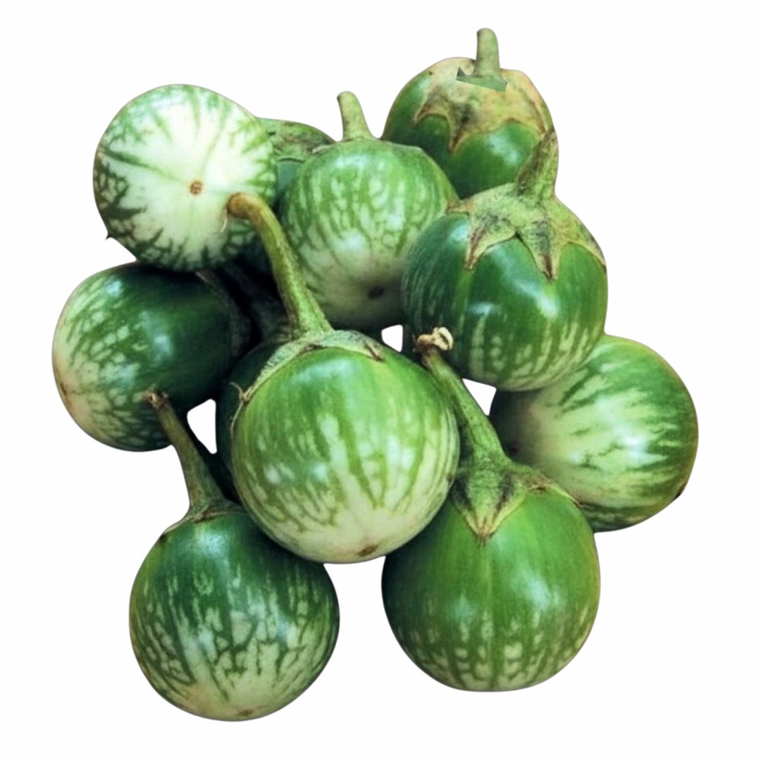 Thai round eggplant green striped fruit