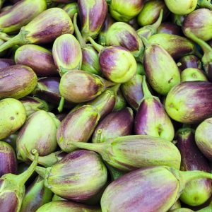 Freshly harvested Brinjal Shayola Variety grown from Brinjal Shayola Variety Seeds, featuring tender bi-colored eggplants with smooth skin, excellent flavor, and high market appeal.