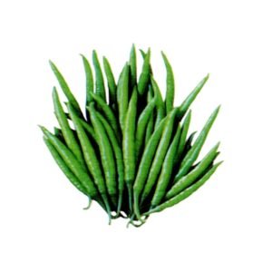Chili Nayanmoni Hybrid Seeds hot green chili pepper variety for planting with slender light green peppers and prolific harvest