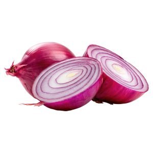 Red Grano Onion red bulb onions growing in garden soil with glossy purple-red outer skin
