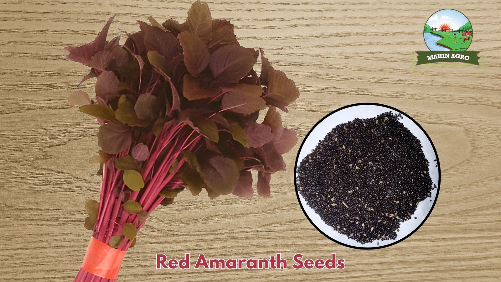 Fresh Red Amaranth Lal Shak bunch (Amaranthus tricolor)