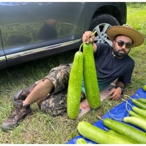 Homegrown bottle gourd harvest with gardeners
