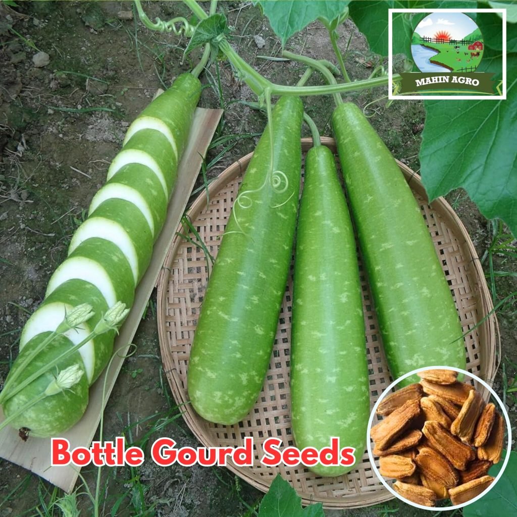 Bottle Gourd Seeds