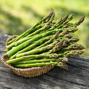 Mary Washington asparagus bunch with dark green spears and purplish tips