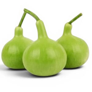 bottle gourd long neck growing on trellis with hanging fruits, green calabash gourd vine plant in home garden setup