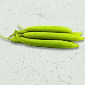 sponge gourd early bird seeds with light green fruits, luffa cylindrica vegetable growing in home garden