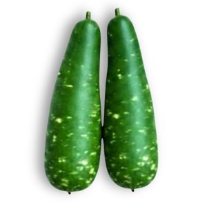 Bottle Gourd Dark Green Seeds producing dark green white-spotted calabash fruits growing on vigorous vines in garden trellis system