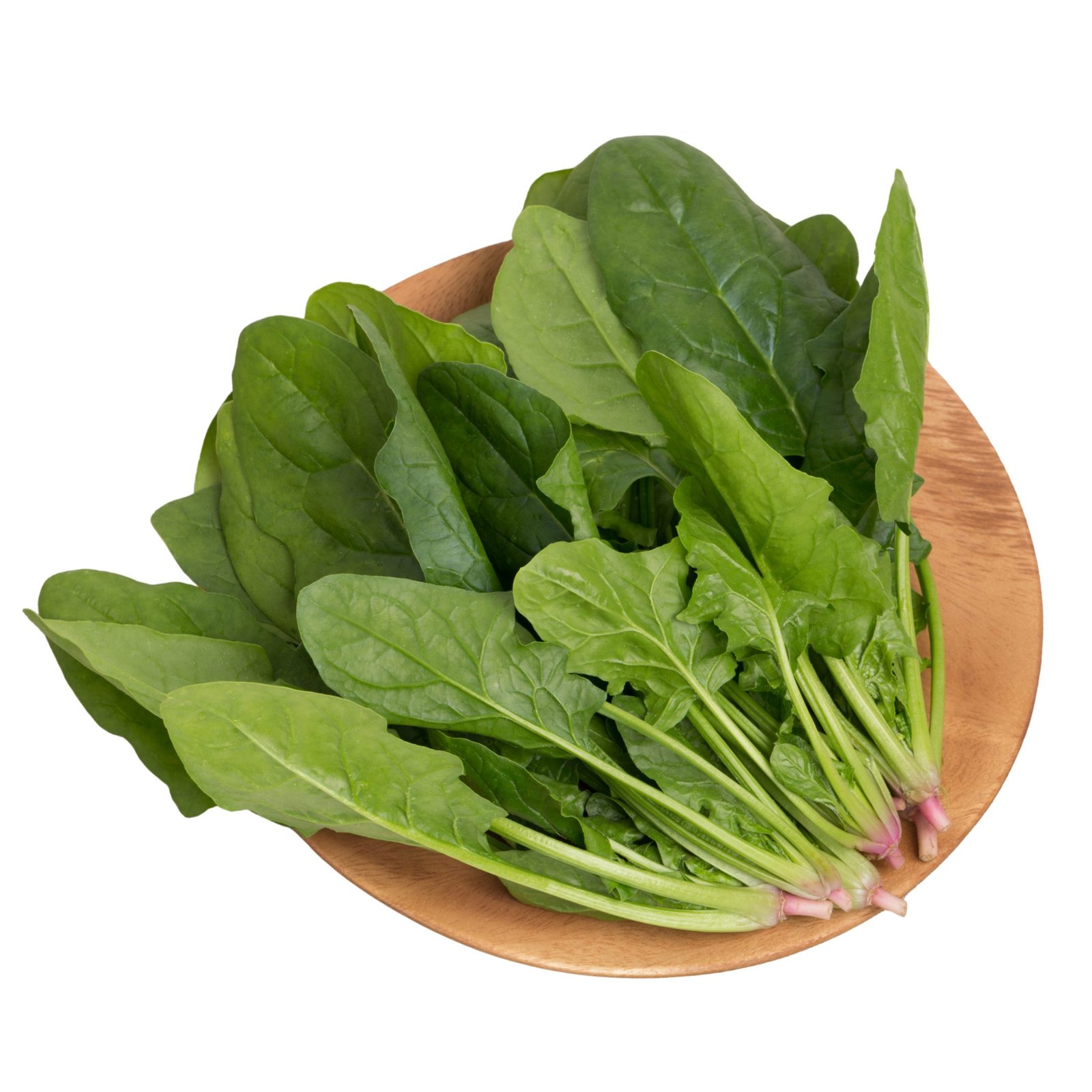 Thai Dragon Spinach Seeds, Premium Asian Leafy Green Seeds